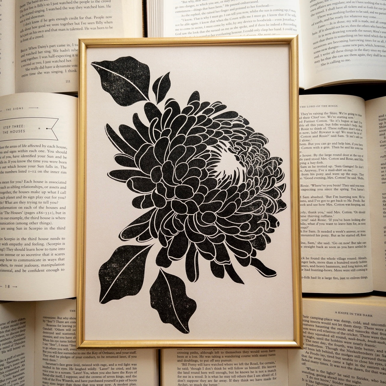 Chrysanthemum Series - A4 Art Prints