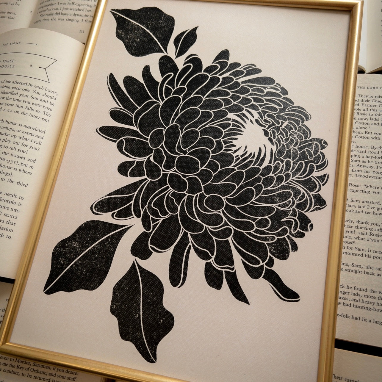 Chrysanthemum 02 - A4 Art Print