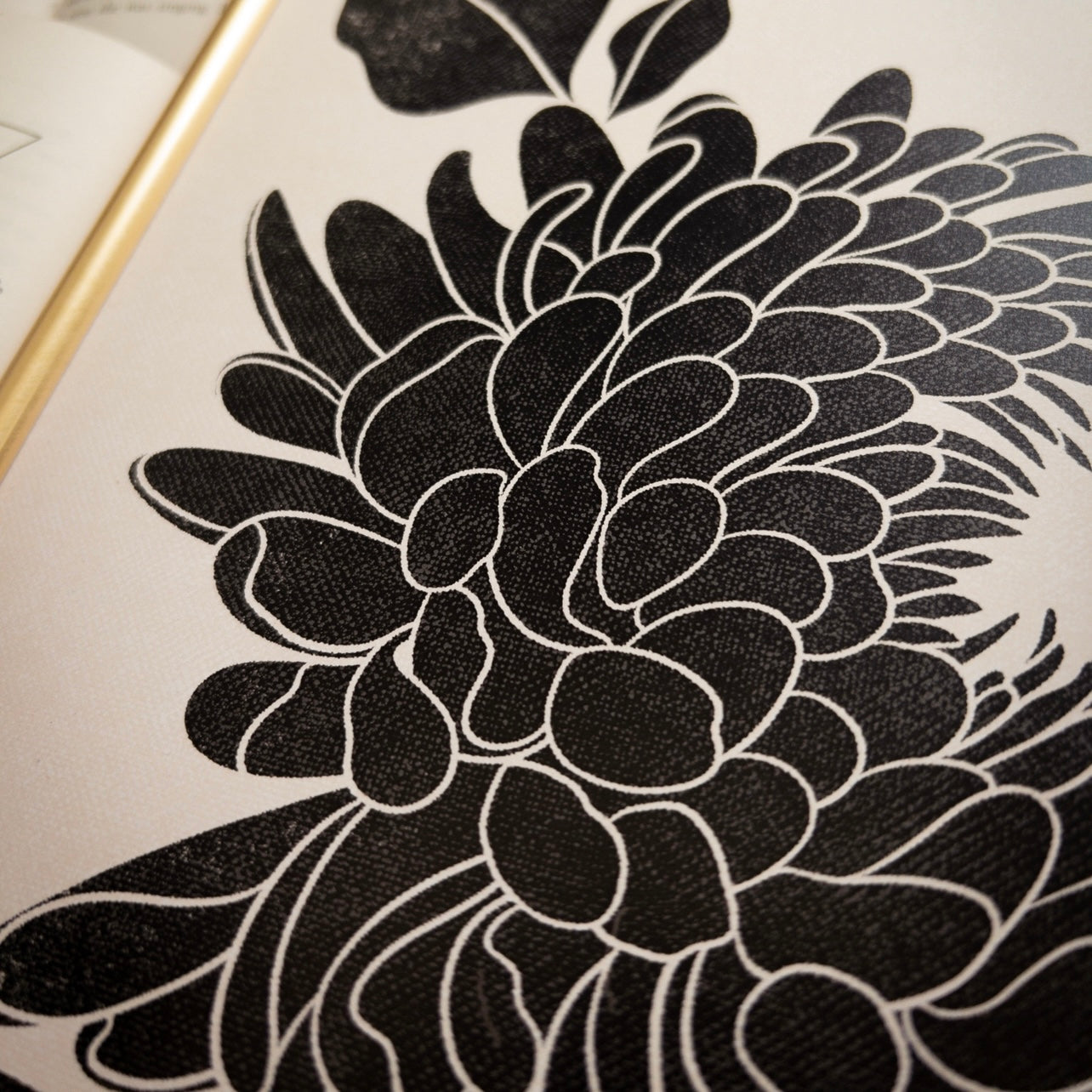 Chrysanthemum 02 - A4 Art Print