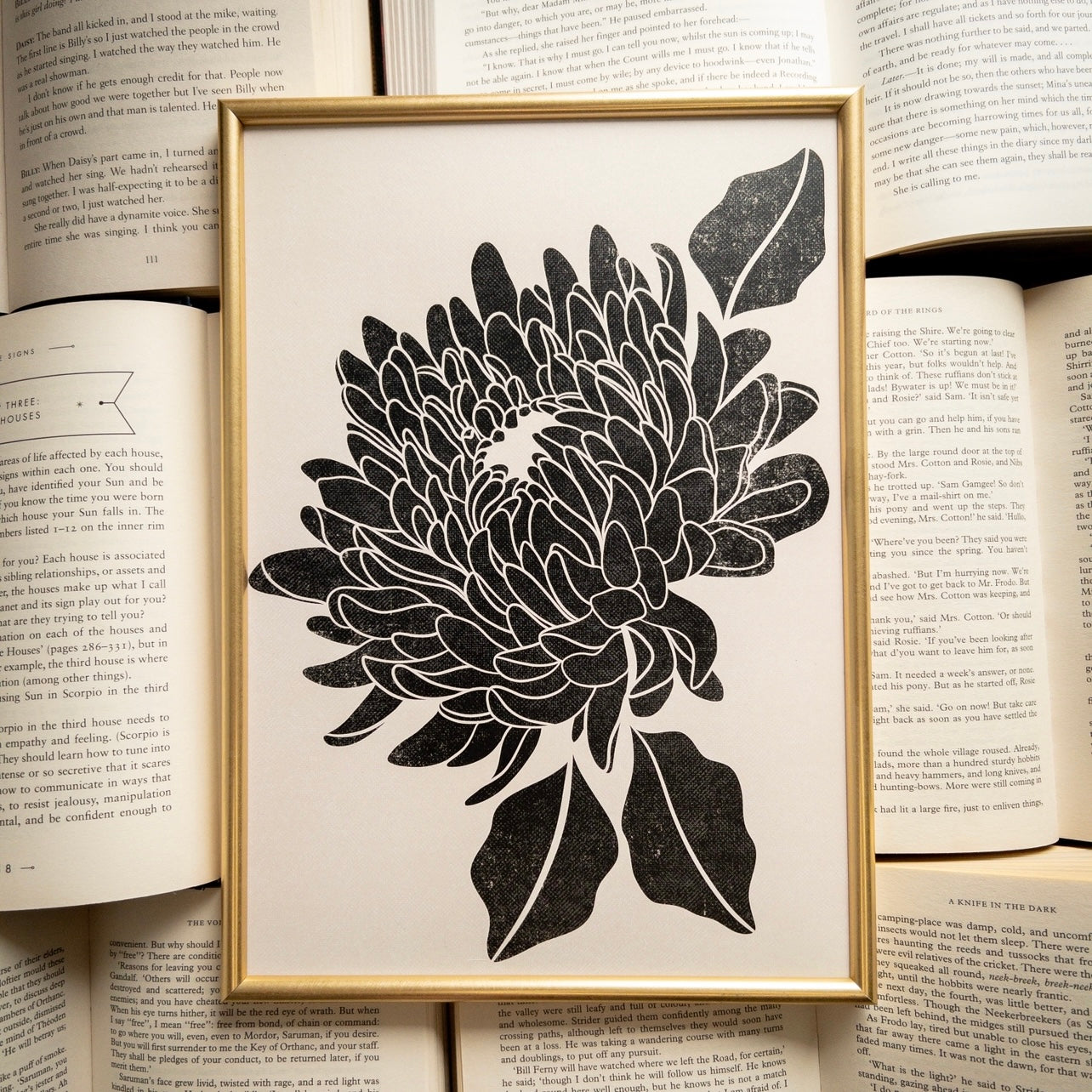 Chrysanthemum Series - A4 Art Prints