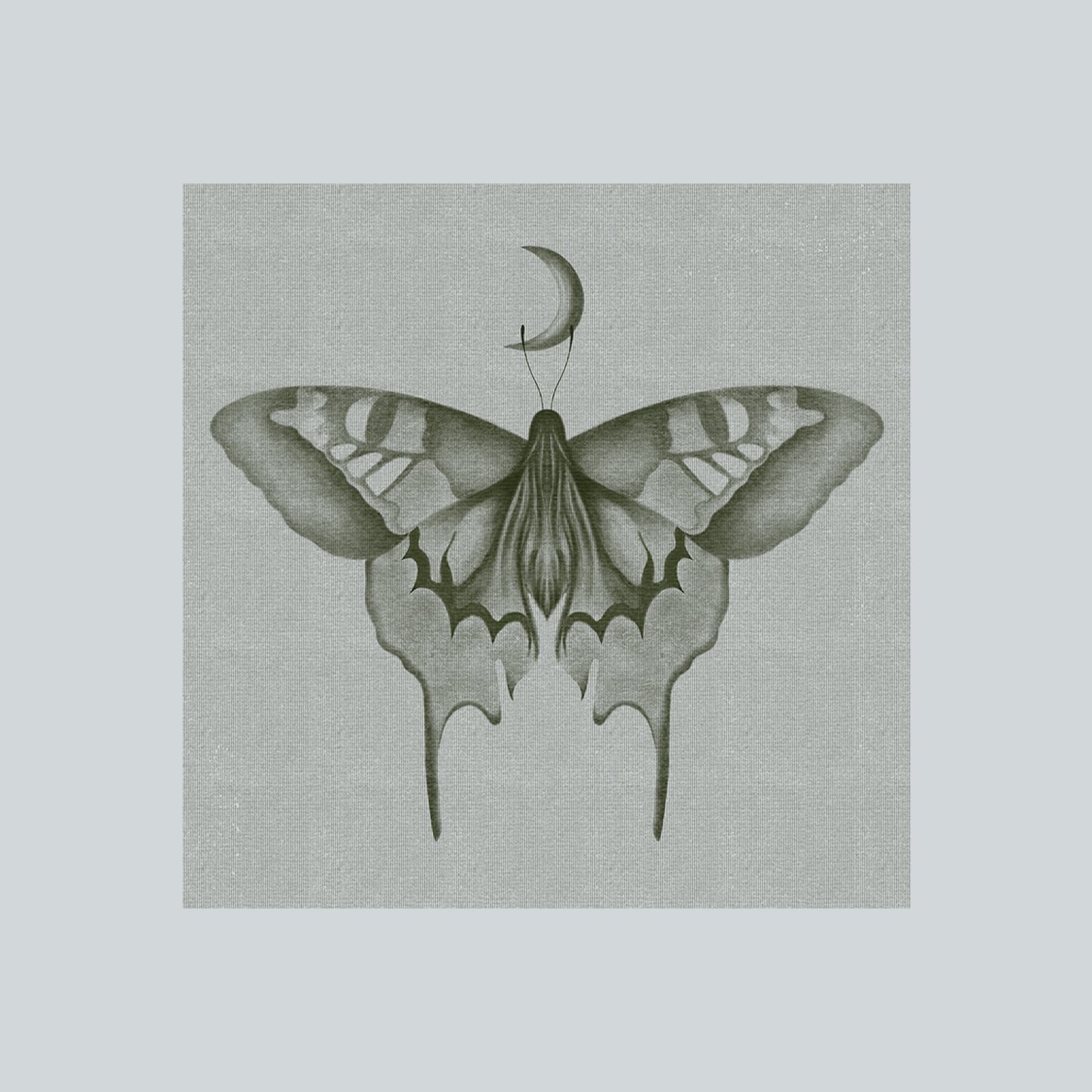 Luna Moth - 300mm Square Art Print