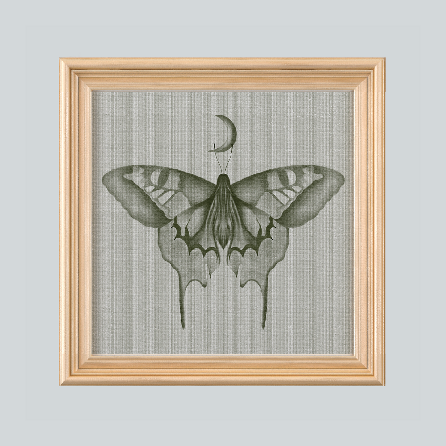 Luna Moth - 300mm Square Art Print