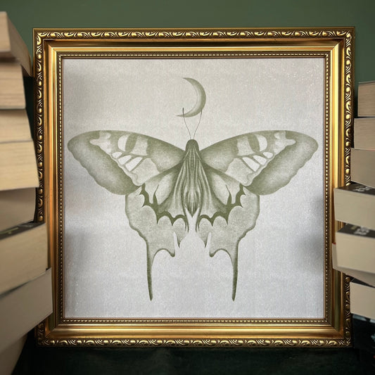 Luna Moth - 300mm Square Art Print