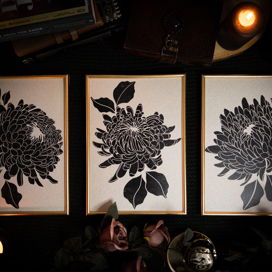 Chrysanthemum Series - A4 Art Prints